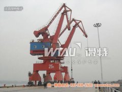 武漢港港口門機(jī)安裝WTL-A200型力矩限制器