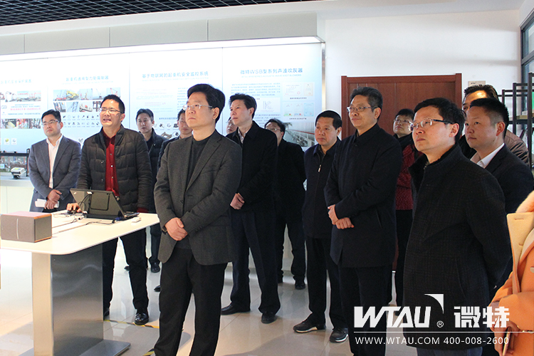 市委常委、組織部長汪偉來微特調(diào)研