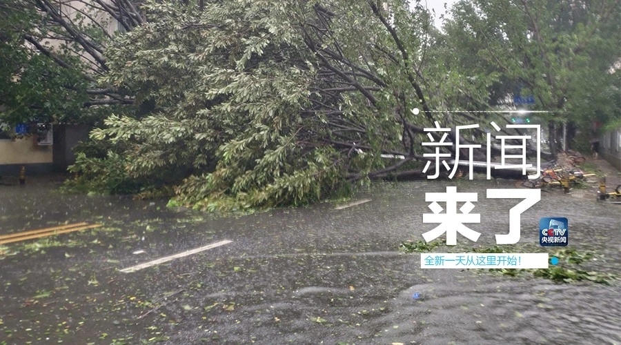 &ldquo;山竹&rdquo;怒過(guò)，高空塔吊你還好嗎？