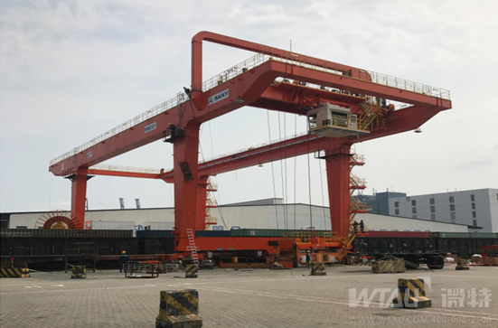 不負春光，微特人在行動