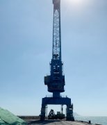 微特門座機力矩限制器配套大灣港